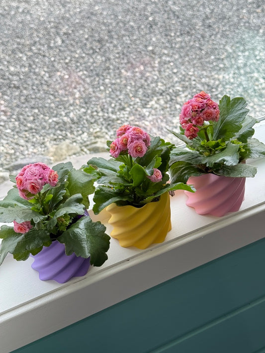 PureDesigns WAVY Blomsterpotte